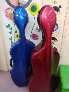 CELLO CASE 17A.jpg